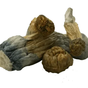 GC Thrasher Magic Mushrooms
