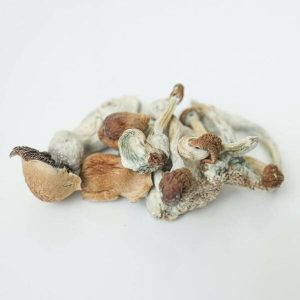 Jedi Mind Fuck Magic Mushrooms